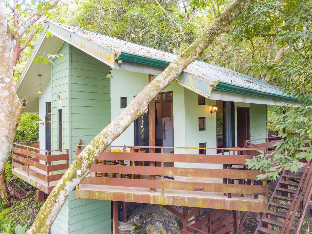 La Montañita Lodge Manuel Antonio Exterior foto